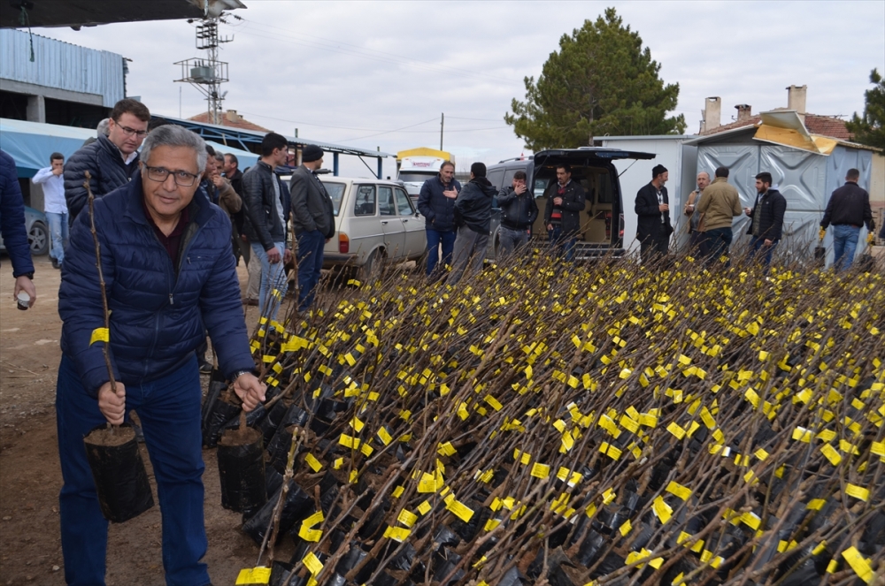 Konya'da Çiftçilere 5 Bin Fidan Dağıtıldı 2