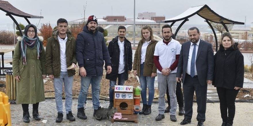 Karaman'da Üniversiteli Öğrencilerden Sokak Hayvanlarına Ev