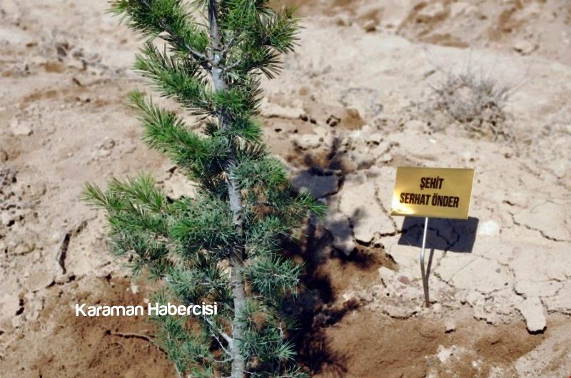 Şehitlerimizin İsimleri 15 Temmuz Hatıra Ormanında 11