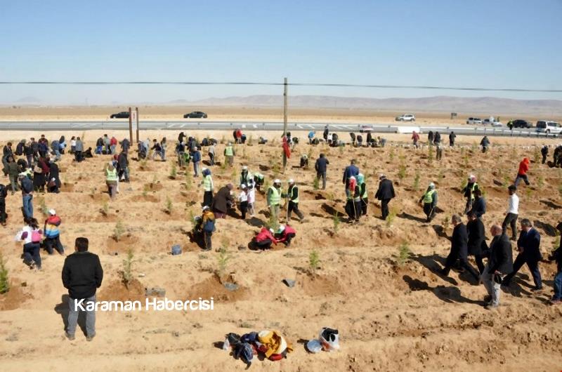 Şehitlerimizin İsimleri 15 Temmuz Hatıra Ormanında 12