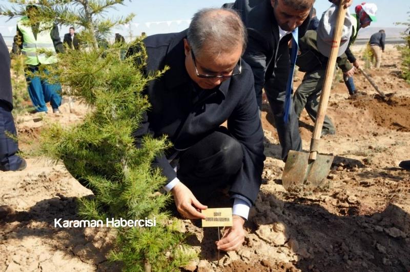 Şehitlerimizin İsimleri 15 Temmuz Hatıra Ormanında 13