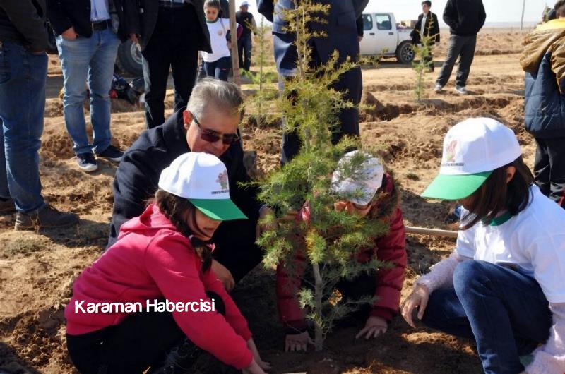 Şehitlerimizin İsimleri 15 Temmuz Hatıra Ormanında 15