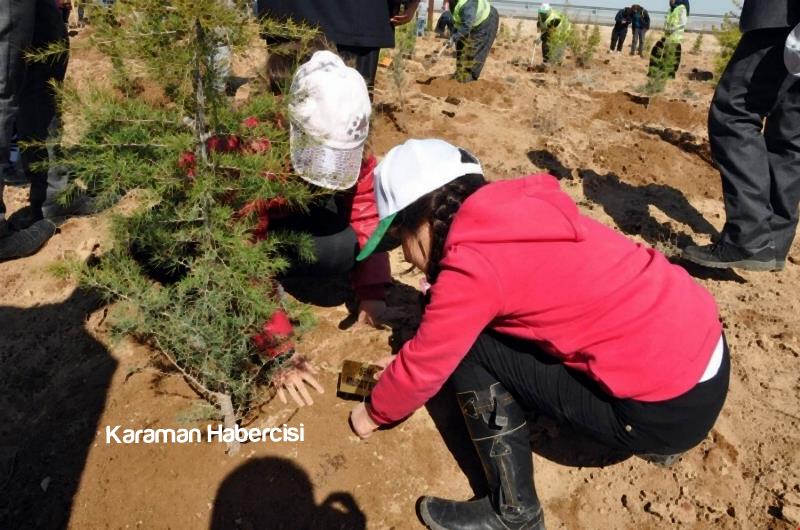 Şehitlerimizin İsimleri 15 Temmuz Hatıra Ormanında 16