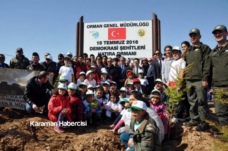 Şehitlerimizin İsimleri 15 Temmuz Hatıra Ormanında 17