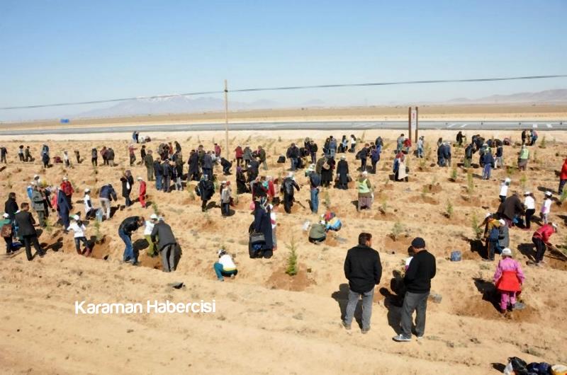 Şehitlerimizin İsimleri 15 Temmuz Hatıra Ormanında 19