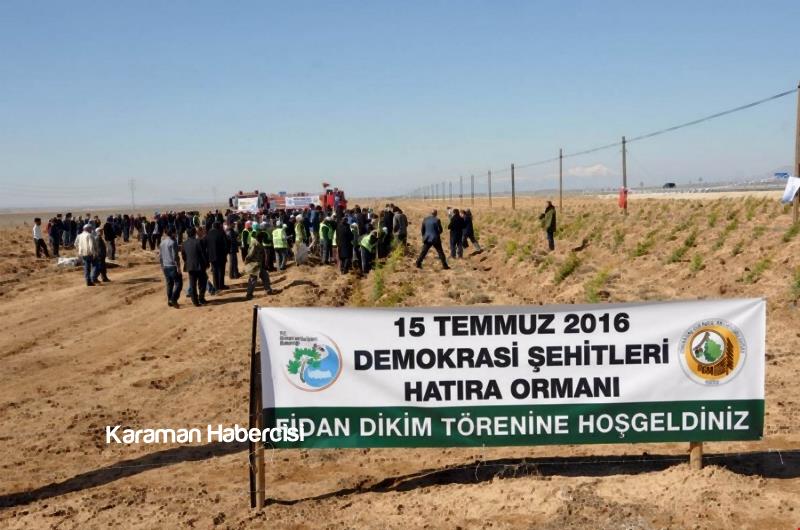 Şehitlerimizin İsimleri 15 Temmuz Hatıra Ormanında 2