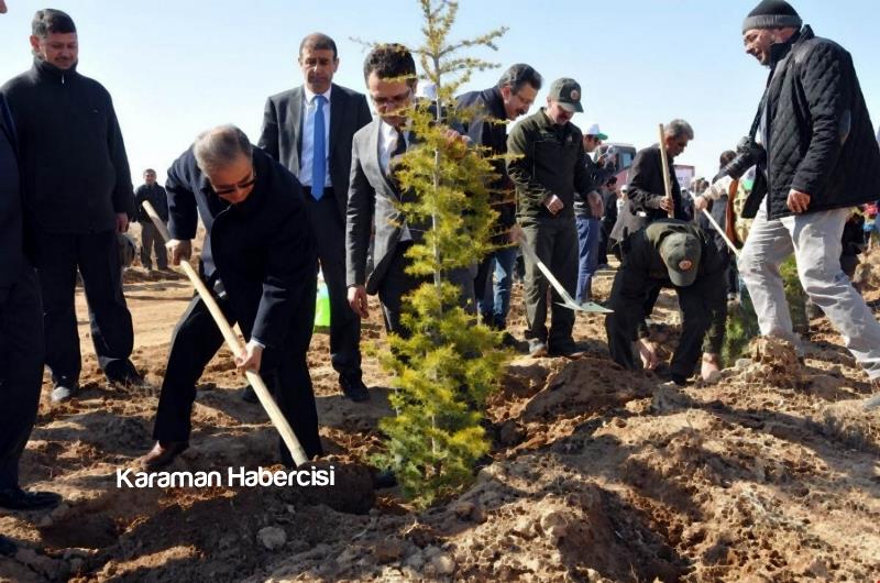 Şehitlerimizin İsimleri 15 Temmuz Hatıra Ormanında 3