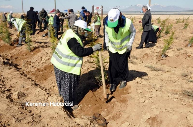 Şehitlerimizin İsimleri 15 Temmuz Hatıra Ormanında 4