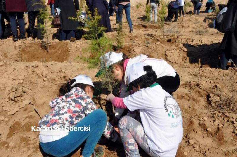 Şehitlerimizin İsimleri 15 Temmuz Hatıra Ormanında 6