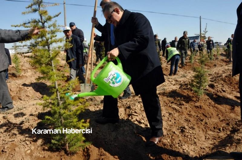 Şehitlerimizin İsimleri 15 Temmuz Hatıra Ormanında 8