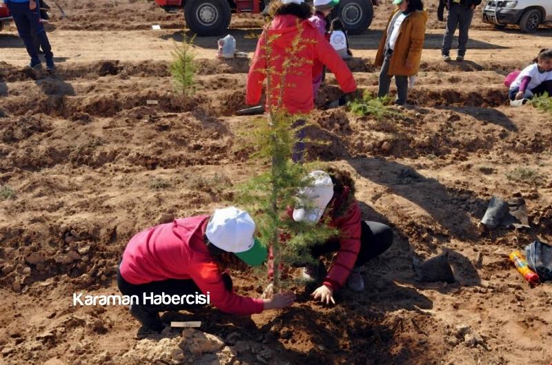 Şehitlerimizin İsimleri 15 Temmuz Hatıra Ormanında 9