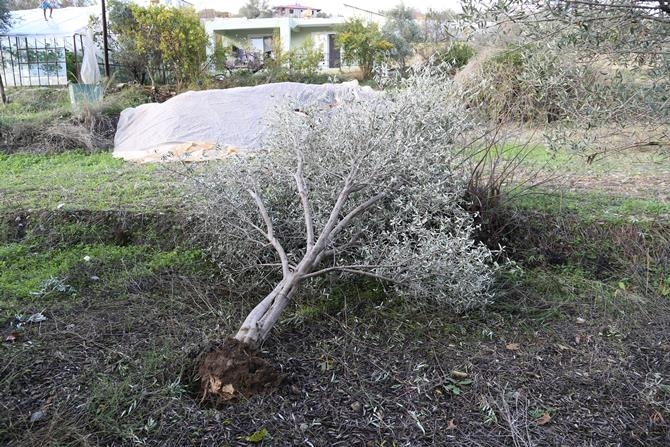 Antalya'da Hortum Seraları Vurdu 7