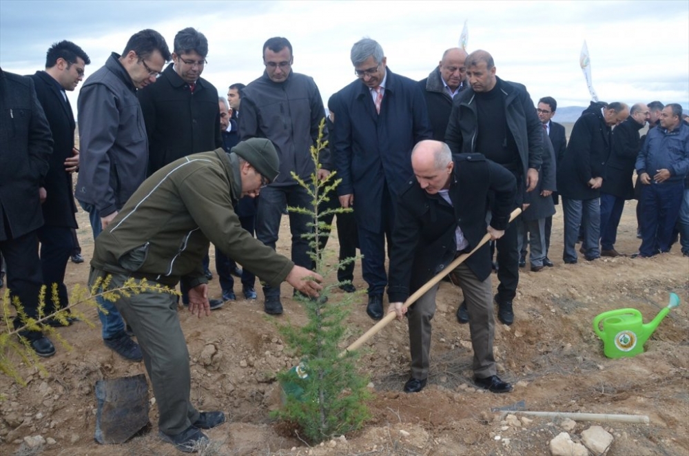 Karaman'da Hükümlüler Fidan Dikti 1