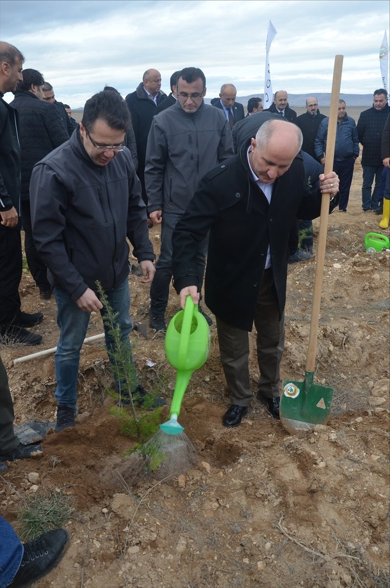 Karaman'da Hükümlüler Fidan Dikti 2