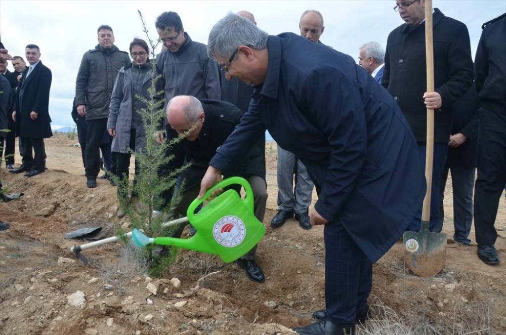 Karaman'da Hükümlüler Fidan Dikti 3