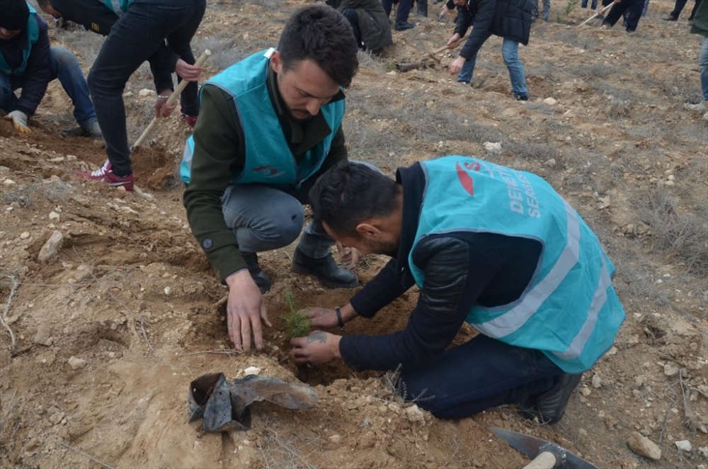 Karaman'da Hükümlüler Fidan Dikti 4