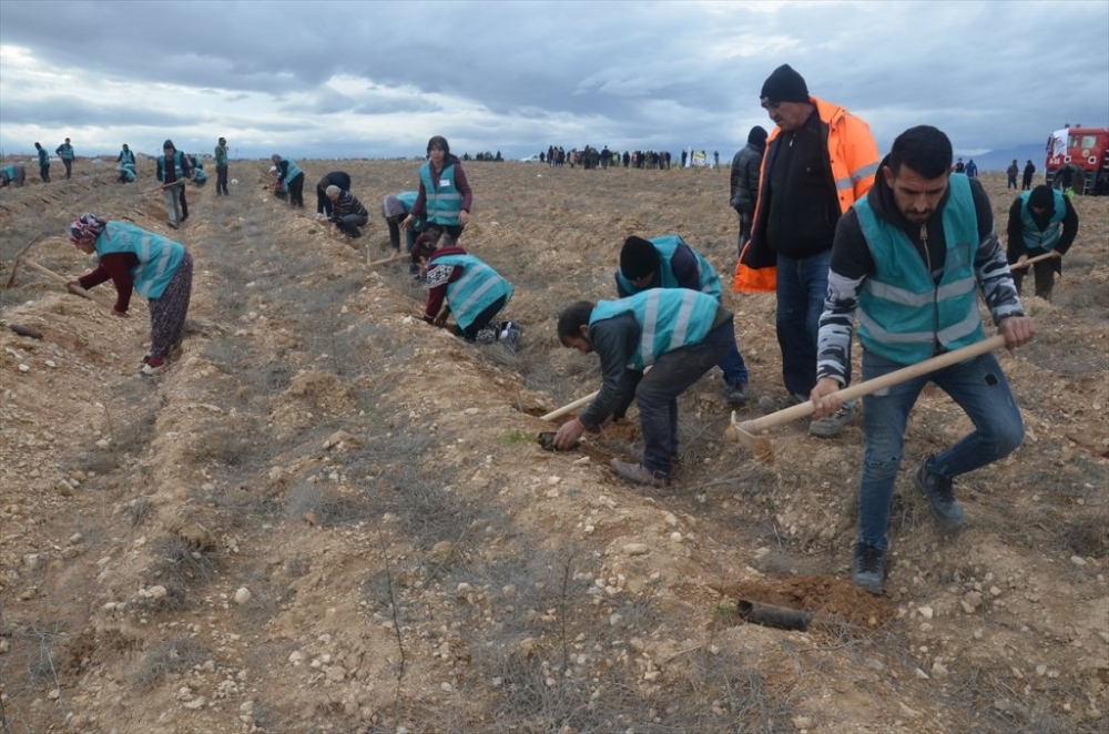 Karaman'da Hükümlüler Fidan Dikti 9