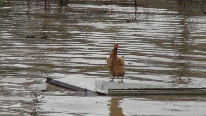Manavgat’ta Yağmur Sebebiyle Dere Ve Kanallar Taştı 10