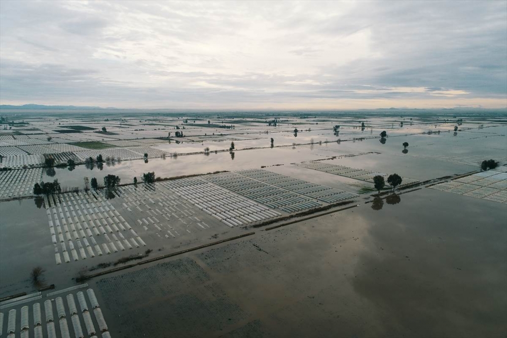 Mersin'de Su Basan Tarlalarda Yaralar Sarılmaya Çalışılıyor 1