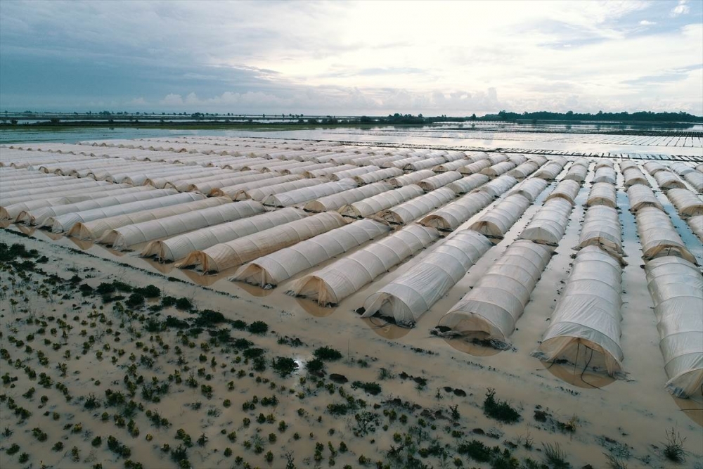 Mersin'de Su Basan Tarlalarda Yaralar Sarılmaya Çalışılıyor 12