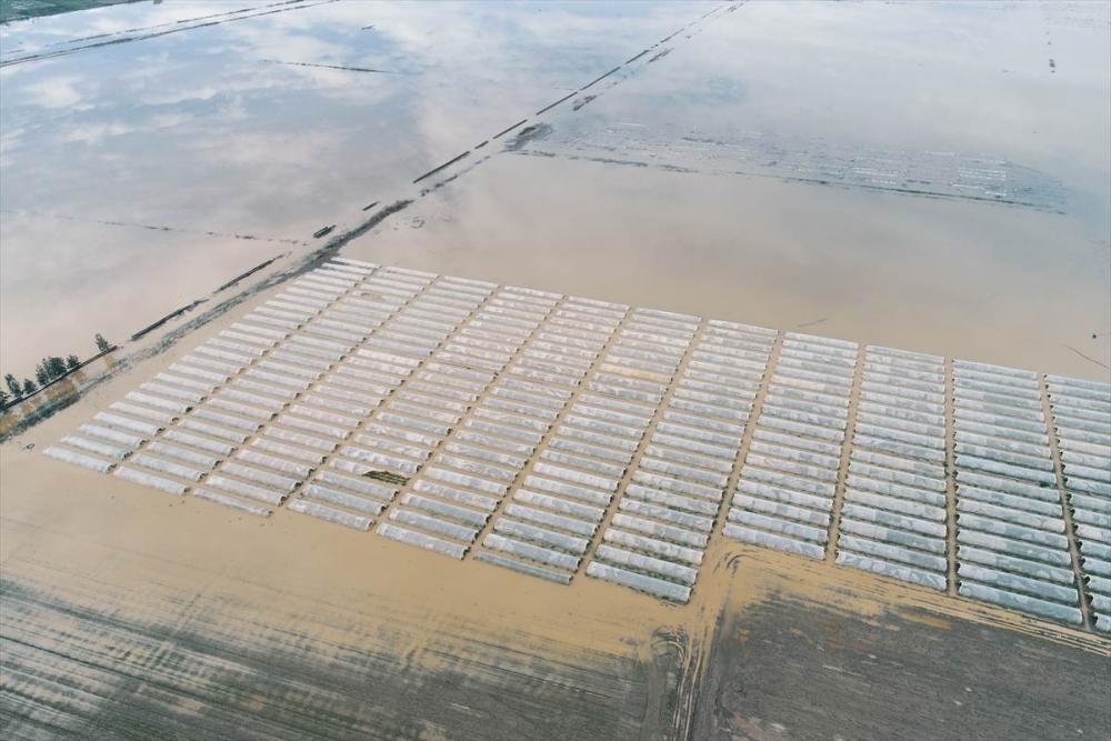 Mersin'de Su Basan Tarlalarda Yaralar Sarılmaya Çalışılıyor 13