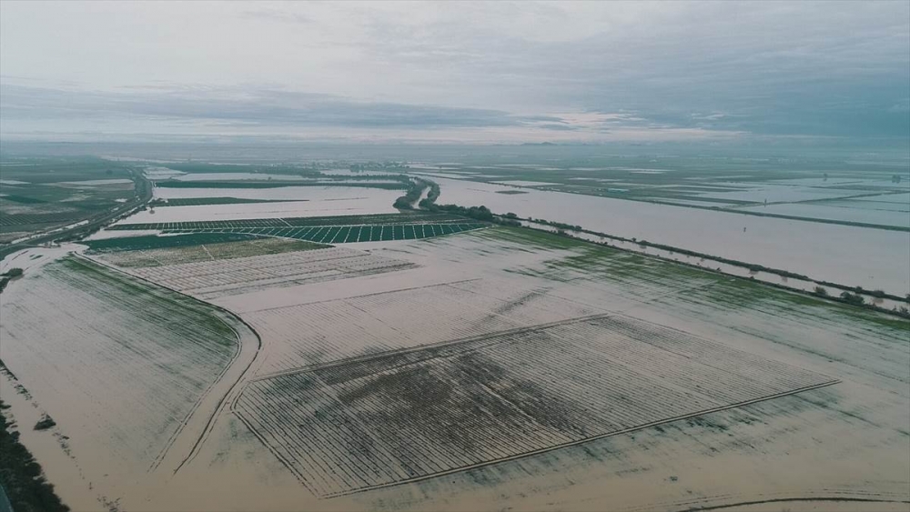 Mersin'de Su Basan Tarlalarda Yaralar Sarılmaya Çalışılıyor 15
