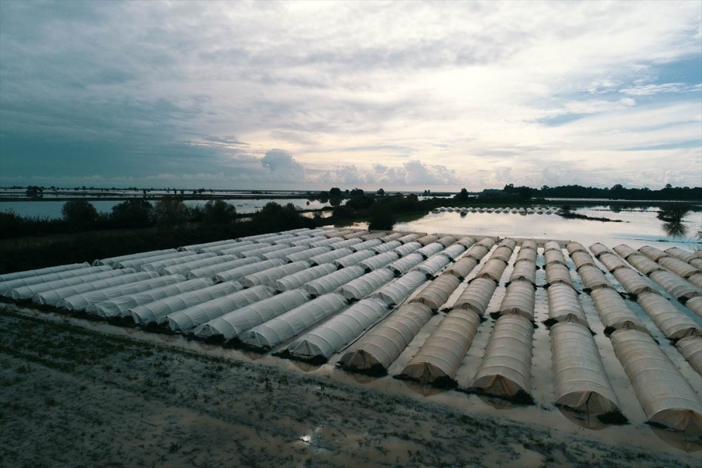 Mersin'de Su Basan Tarlalarda Yaralar Sarılmaya Çalışılıyor 16