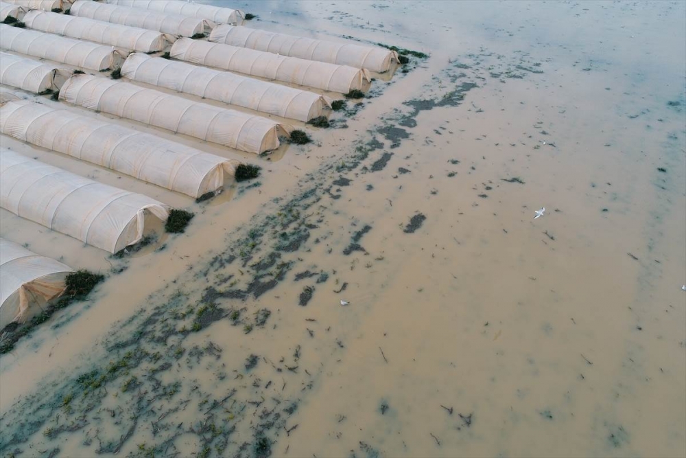 Mersin'de Su Basan Tarlalarda Yaralar Sarılmaya Çalışılıyor 17