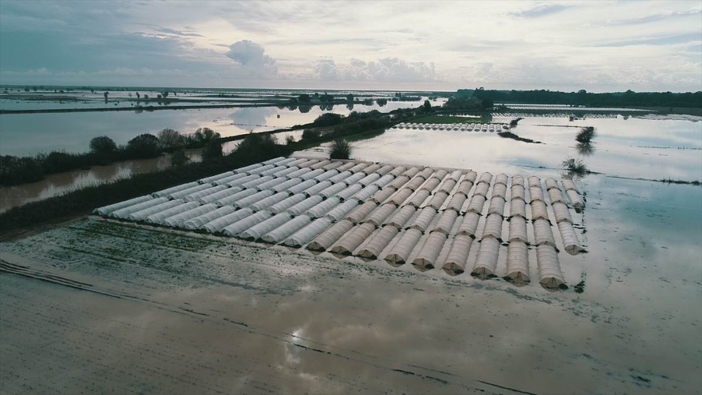 Mersin'de Su Basan Tarlalarda Yaralar Sarılmaya Çalışılıyor 19