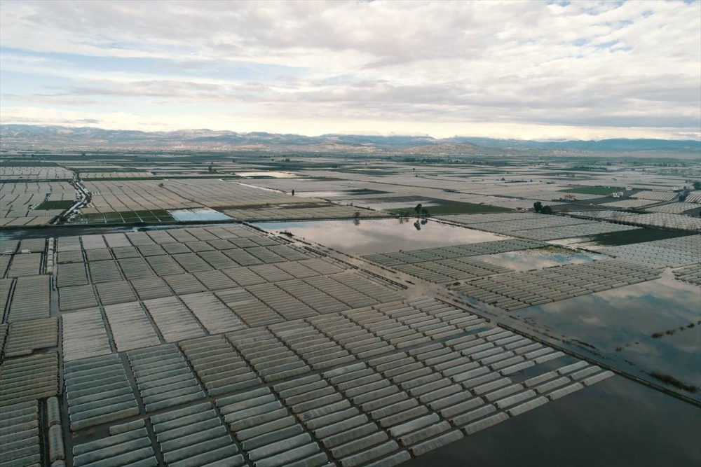 Mersin'de Su Basan Tarlalarda Yaralar Sarılmaya Çalışılıyor 2