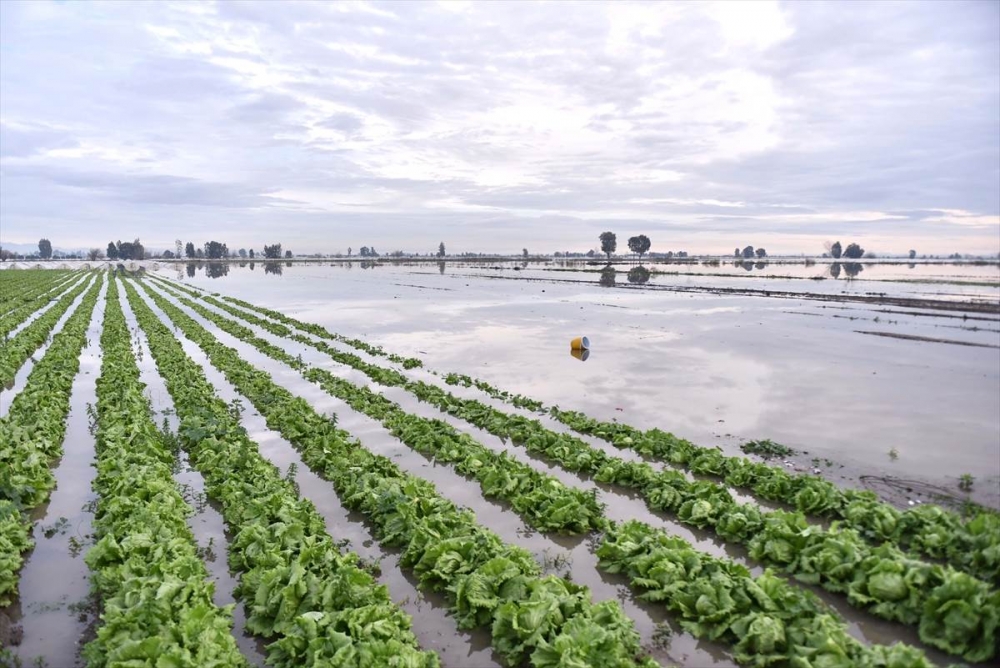Mersin'de Su Basan Tarlalarda Yaralar Sarılmaya Çalışılıyor 20