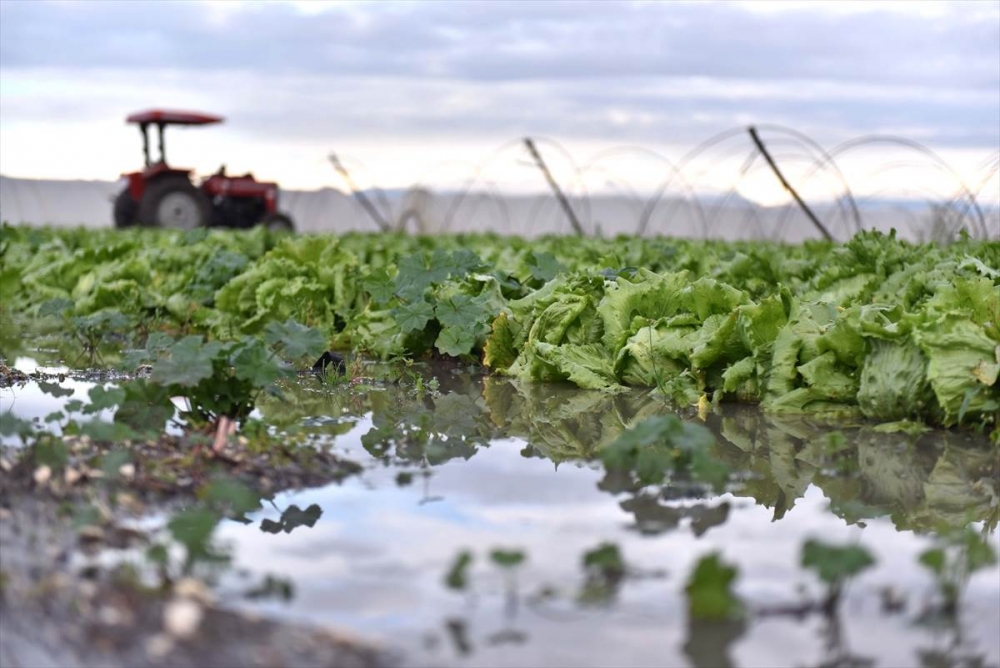 Mersin'de Su Basan Tarlalarda Yaralar Sarılmaya Çalışılıyor 21