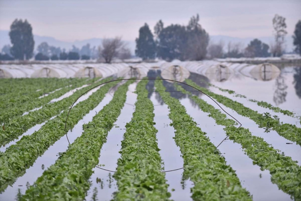 Mersin'de Su Basan Tarlalarda Yaralar Sarılmaya Çalışılıyor 22