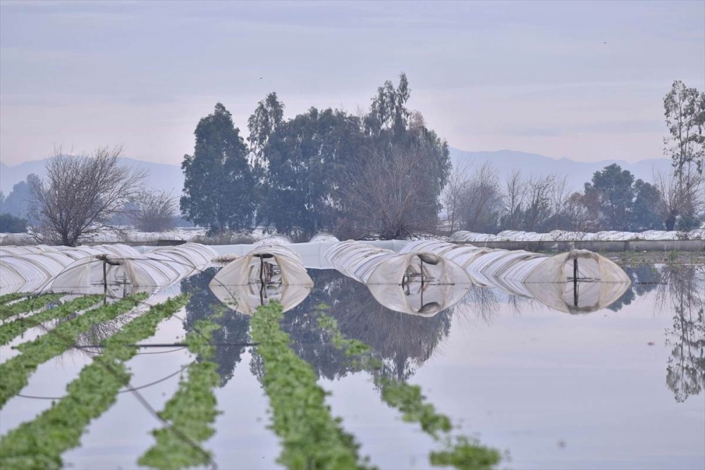 Mersin'de Su Basan Tarlalarda Yaralar Sarılmaya Çalışılıyor 25