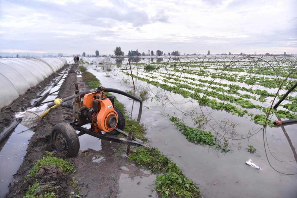 Mersin'de Su Basan Tarlalarda Yaralar Sarılmaya Çalışılıyor 27