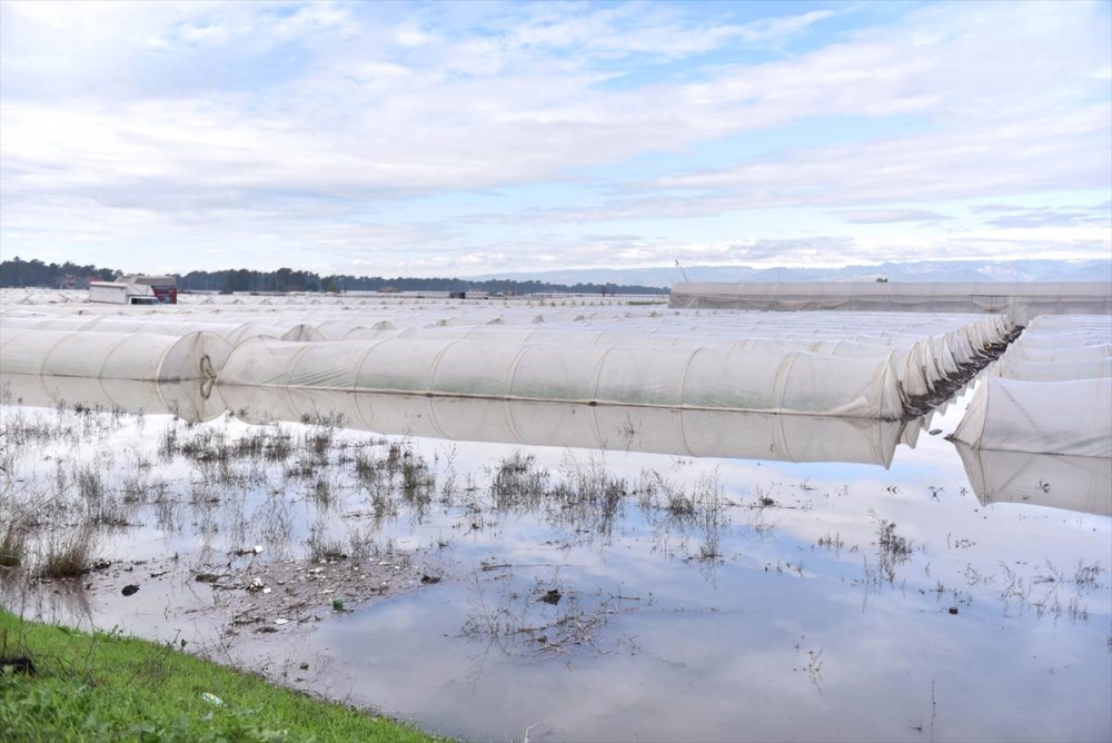 Mersin'de Su Basan Tarlalarda Yaralar Sarılmaya Çalışılıyor 29