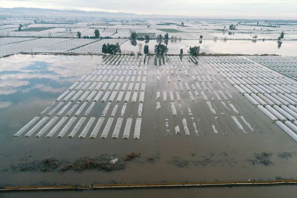 Mersin'de Su Basan Tarlalarda Yaralar Sarılmaya Çalışılıyor 3