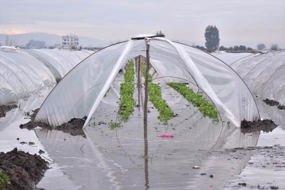 Mersin'de Su Basan Tarlalarda Yaralar Sarılmaya Çalışılıyor 30