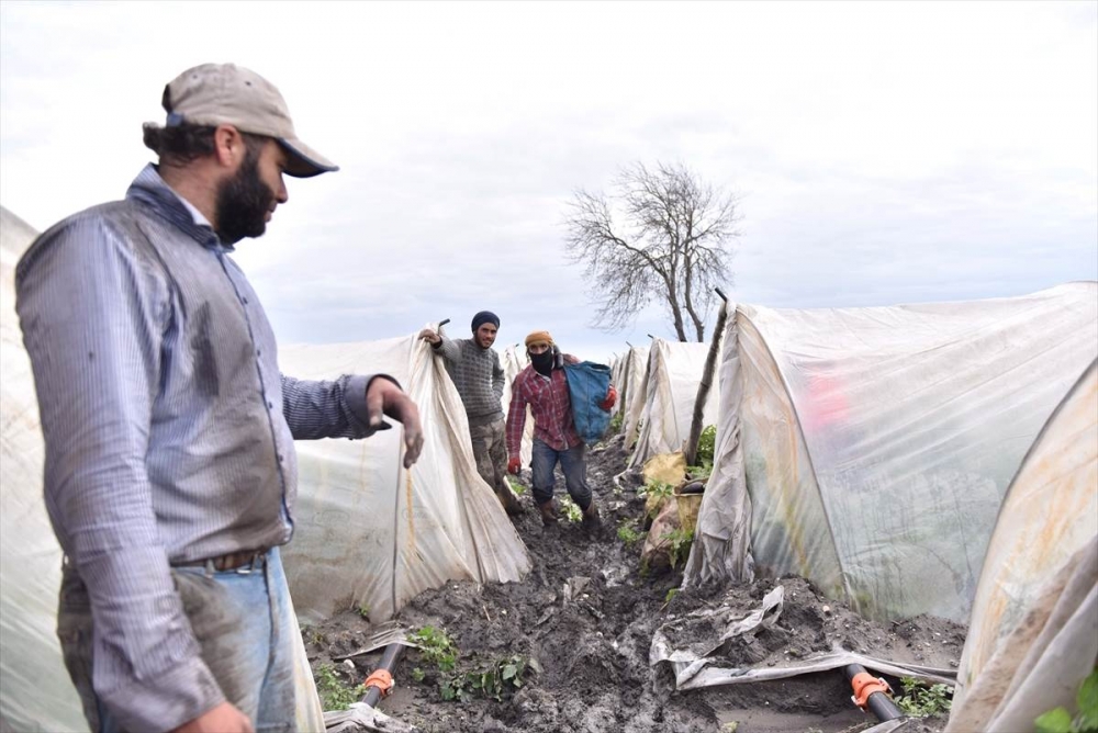 Mersin'de Su Basan Tarlalarda Yaralar Sarılmaya Çalışılıyor 32