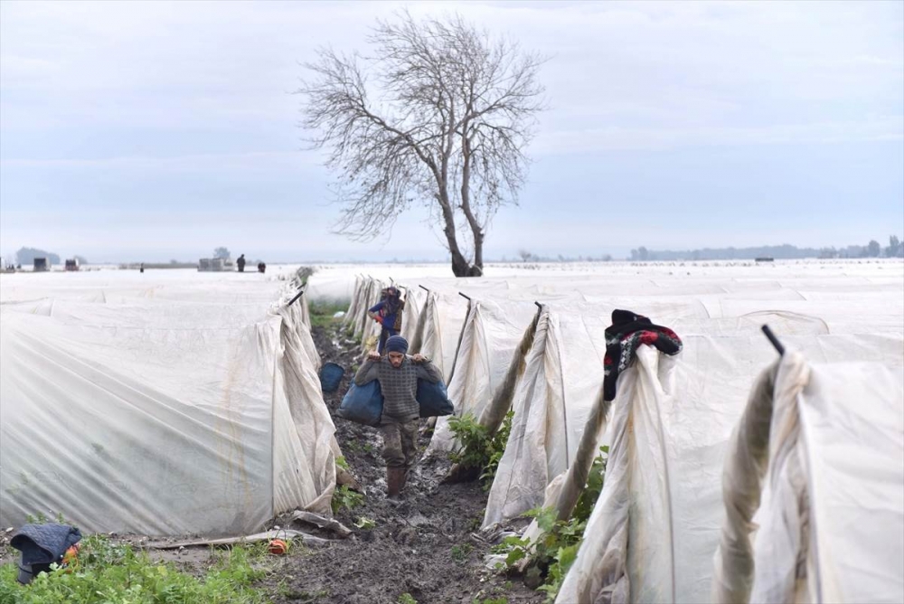 Mersin'de Su Basan Tarlalarda Yaralar Sarılmaya Çalışılıyor 33