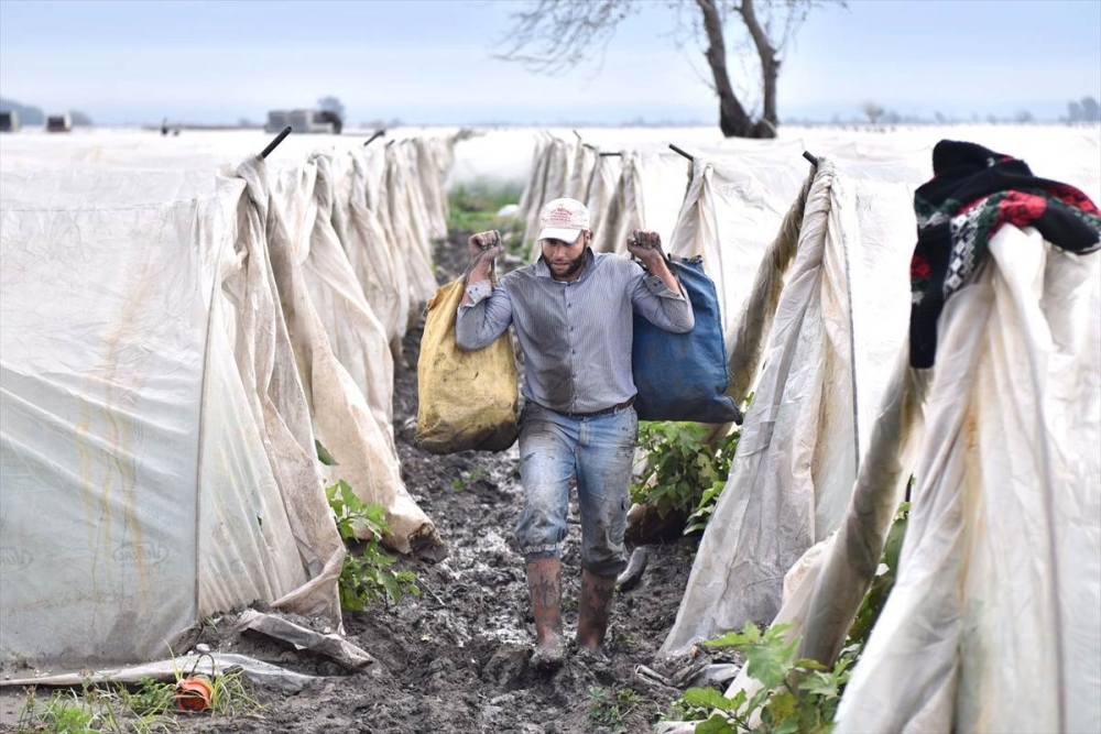 Mersin'de Su Basan Tarlalarda Yaralar Sarılmaya Çalışılıyor 34
