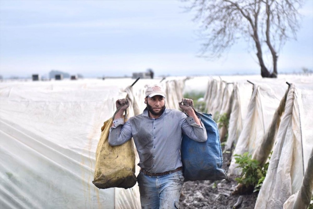 Mersin'de Su Basan Tarlalarda Yaralar Sarılmaya Çalışılıyor 36