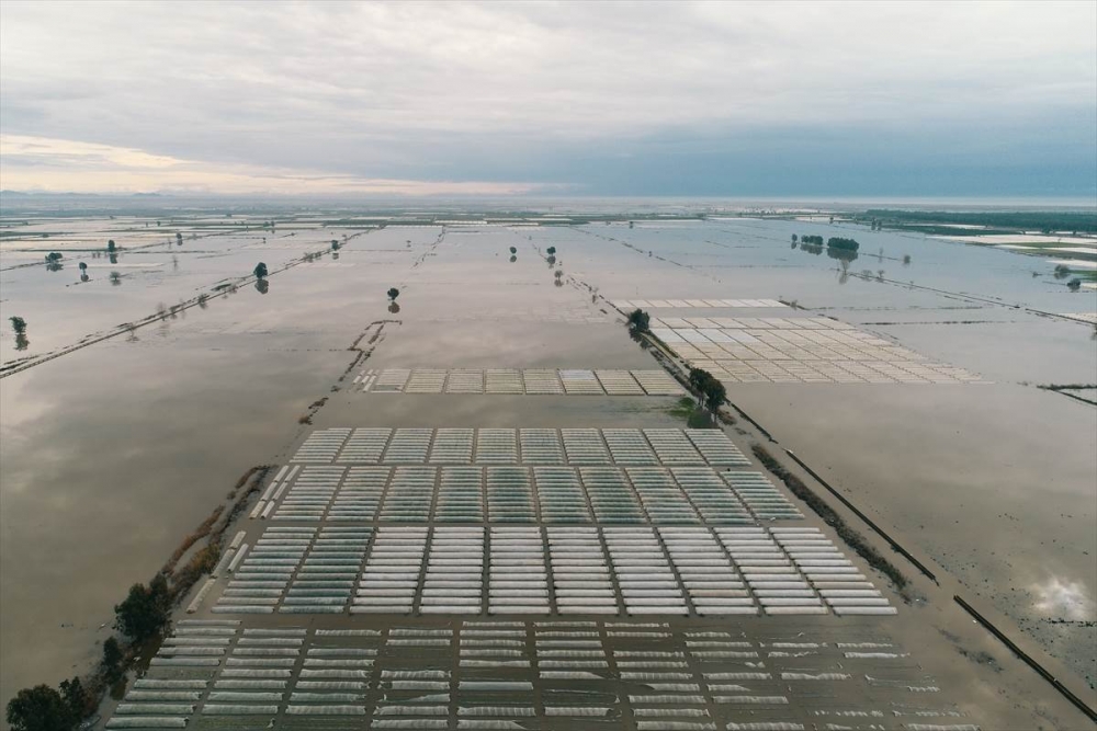 Mersin'de Su Basan Tarlalarda Yaralar Sarılmaya Çalışılıyor 4