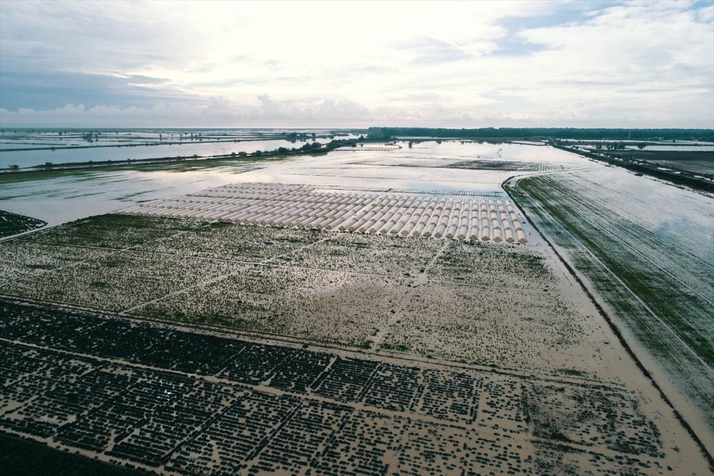 Mersin'de Su Basan Tarlalarda Yaralar Sarılmaya Çalışılıyor 5