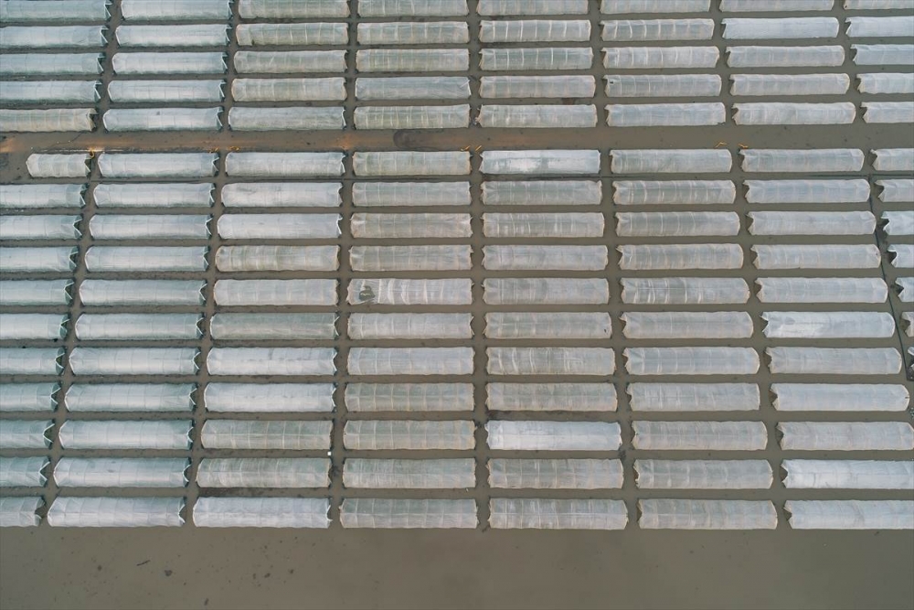 Mersin'de Su Basan Tarlalarda Yaralar Sarılmaya Çalışılıyor 6