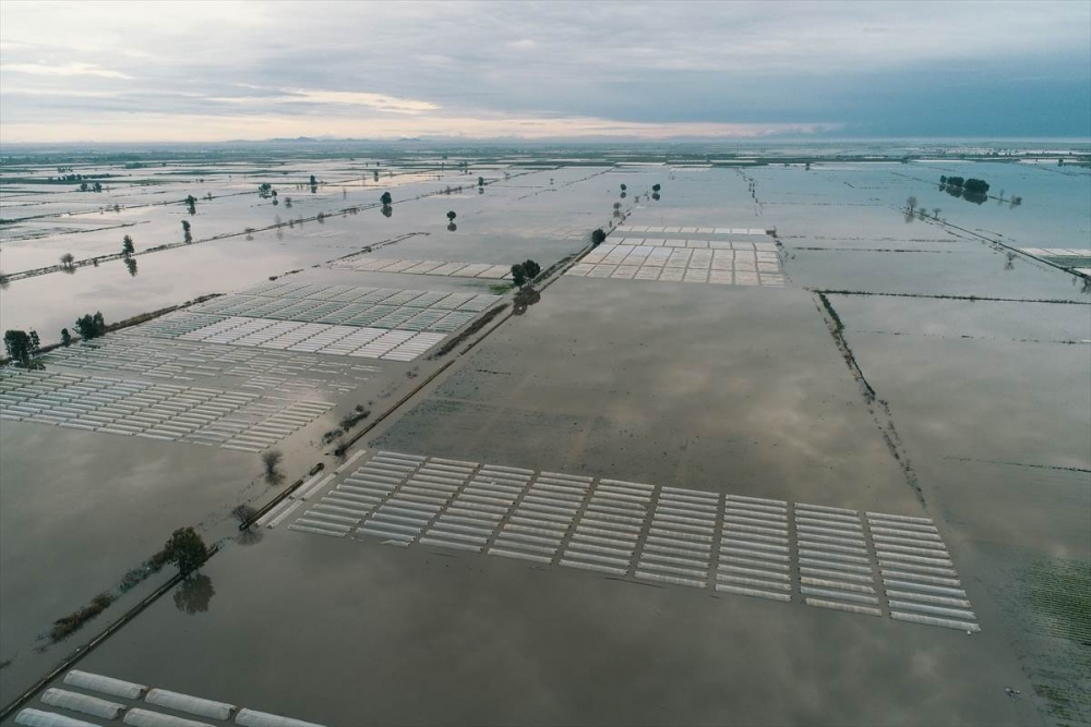 Mersin'de Su Basan Tarlalarda Yaralar Sarılmaya Çalışılıyor 7
