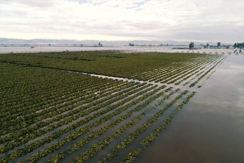 Mersin'de Su Basan Tarlalarda Yaralar Sarılmaya Çalışılıyor 8