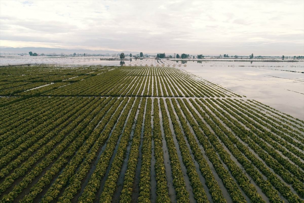 Mersin'de Su Basan Tarlalarda Yaralar Sarılmaya Çalışılıyor 9