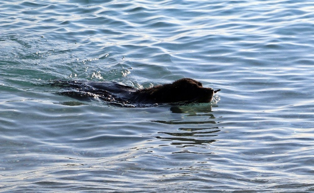 Antalya Yaza Kaldığı Yerden Devam Ediyor 12