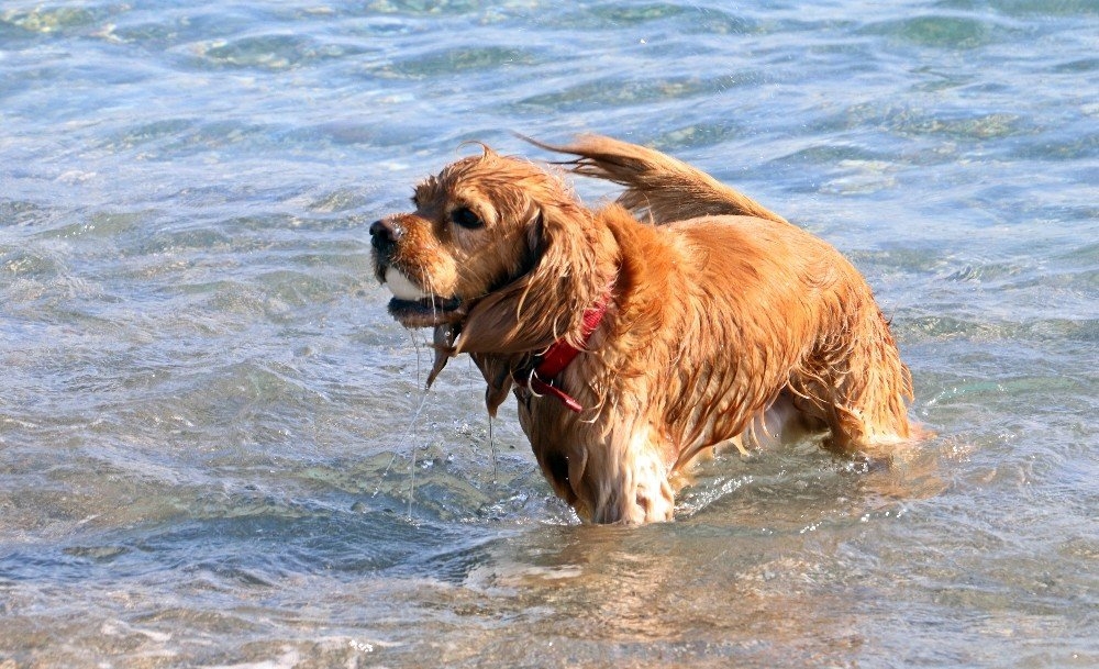 Antalya Yaza Kaldığı Yerden Devam Ediyor 9
